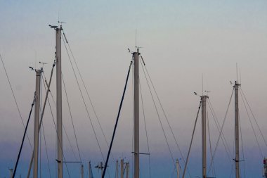 barcelona gökyüzünde Yat Gemi direkleri