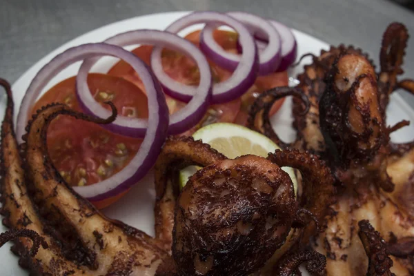 Fried octopus squit — Stock Photo, Image