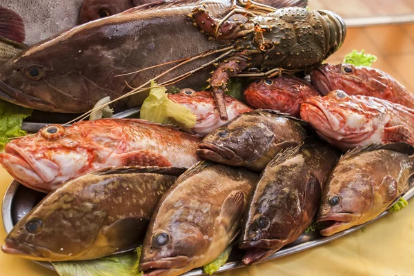 Çeşitli çiğ balık