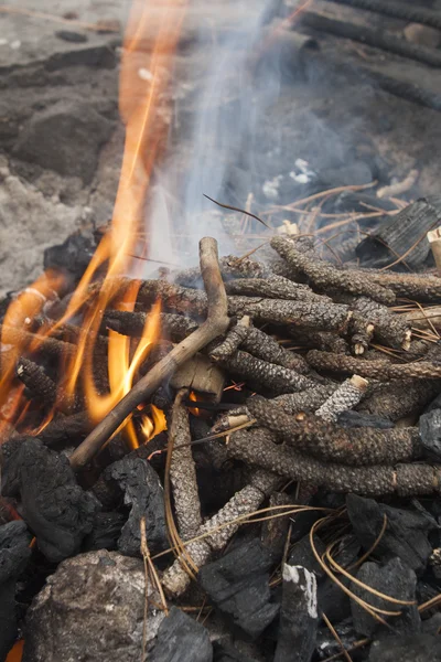 Ogień gałązek jodły na grill — Zdjęcie stockowe