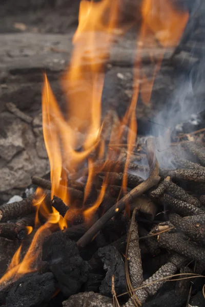 Feu de branches de sapin sur le gril — Photo