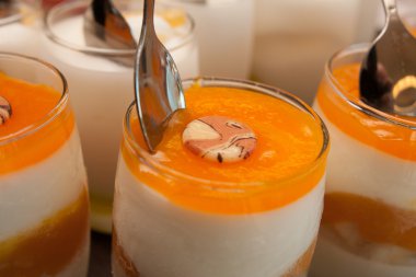 yoğurt meyve ile dondurma