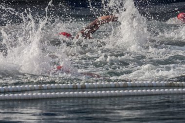 Noel günü Harbour yüzmek 2015, Barcelona, Port Vell - 25 Aralık: yüzücüler yarış 200 metre mesafe