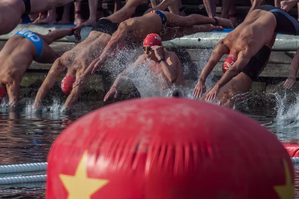 2015年圣诞节港口游泳, 巴塞罗那, 维尔港-12月25日: 游泳者开始比赛 — 图库照片
