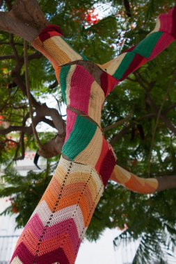 Yarnbombing. Ağaçlar için örgü süsler. Dekorasyon. El desen yaptı. Ağaçlar için çok renkli hasır kapak. 