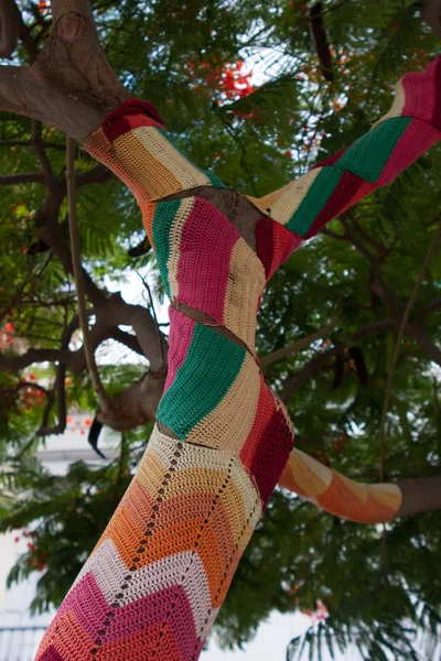 Yarnbombing Πλεκτά Στολίδια Για Δέντρα Διακόσμηση Χειροποίητο Μοτίβο Πολύχρωμα Λυγαριά — Φωτογραφία Αρχείου