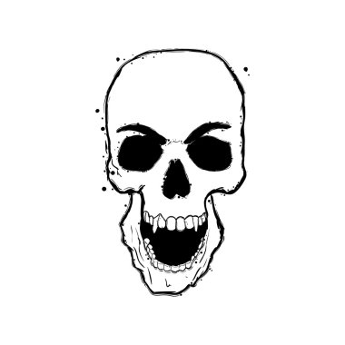 Yüksek kalite el çekilmiş kafatası.