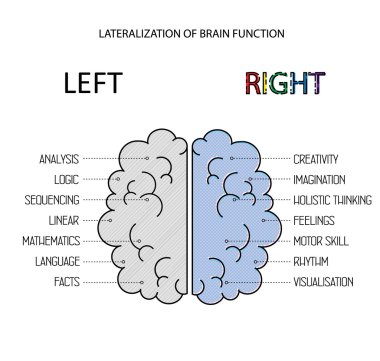 Left and right brain functions info. Lateralization of brain function vector infographics.  clipart