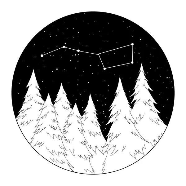 Yüksek kaliteli vektör elle çizilmiş çizim. Gece orman.