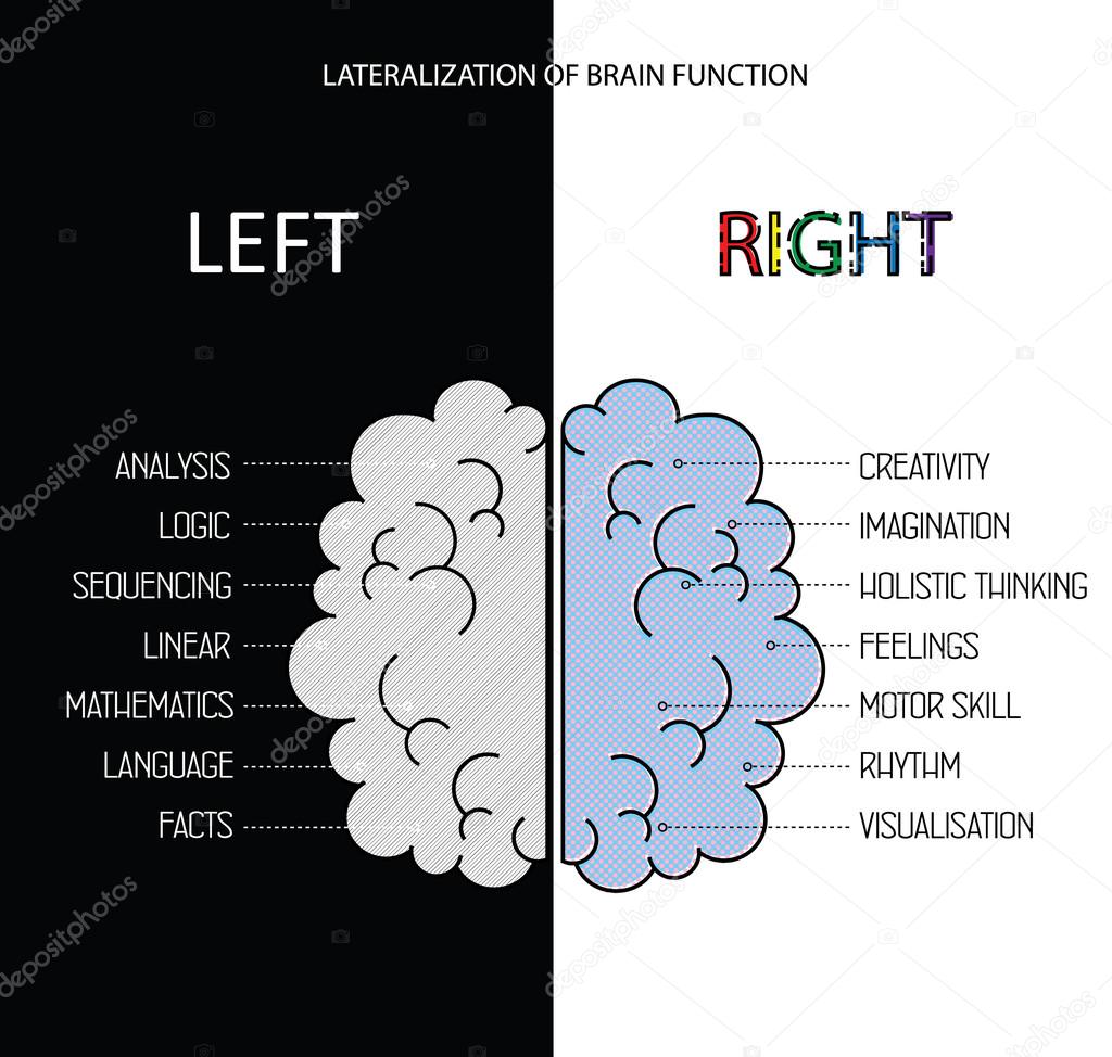 Left and right brain functions info. Lateralization of brain function vector infographics. 