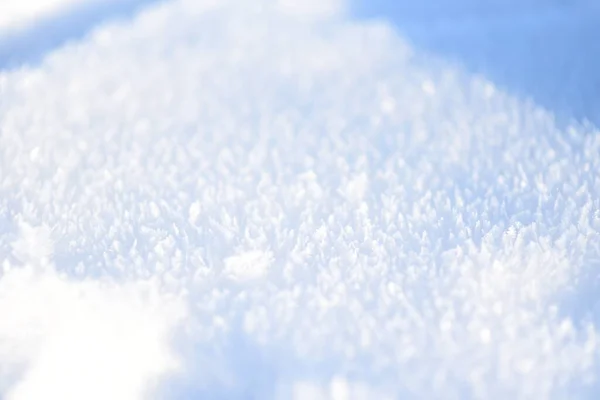 Snow Sparkling Sun — Stock Photo, Image