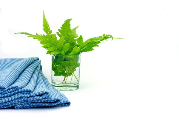 Zöld levelek pohár vizet kék ruhával fehér háttérb — Stock Fotó