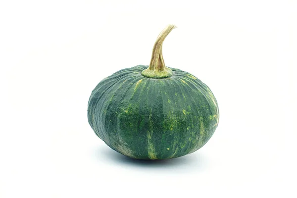 Zucca verde su sfondo bianco — Foto Stock