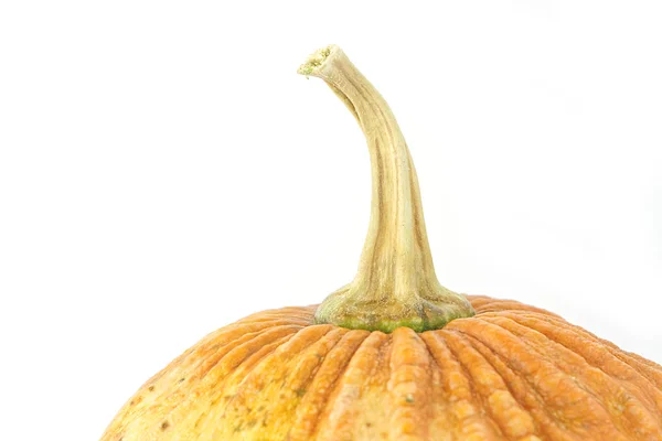 Pequeña calabaza amarilla asiática sobre fondo blanco . — Foto de Stock