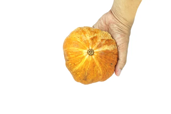 Small asian yellow pumpkin in hand on white background. — Stock Photo, Image