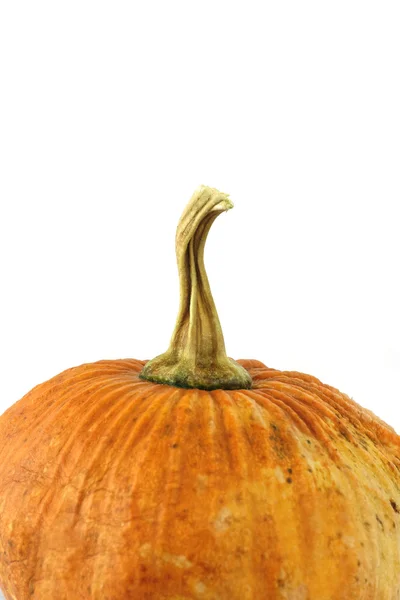 Pequeña calabaza amarilla asiática sobre fondo blanco . — Foto de Stock