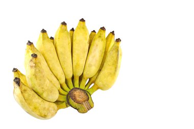 Pisang uyanık muz izole beyaz arka plan