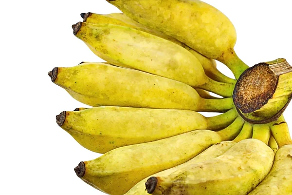Cultive banana no fundo branco — Fotografia de Stock