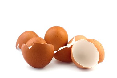 Beyaz arka plan üzerinde yumurta kabuğu