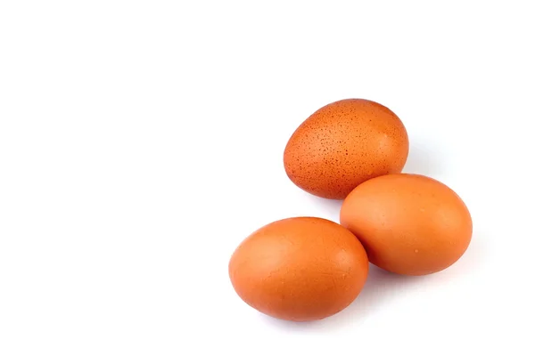 Le uova isolano lo sfondo bianco — Foto Stock