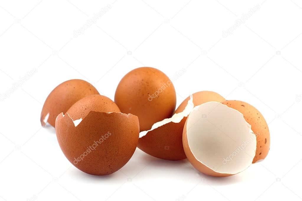 Eggshell on white background