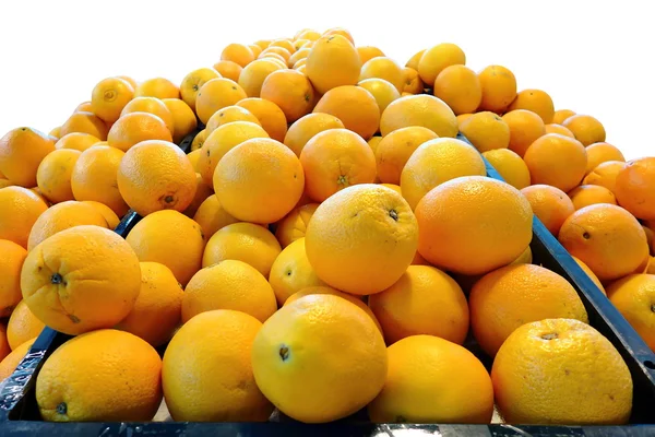 Pomarańczowy pępka, Grupa Friut na białym tle — Zdjęcie stockowe