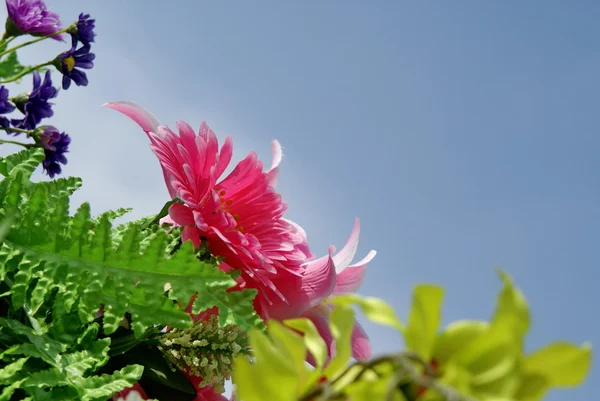 Pink artificia flower on sky background — Stock Photo, Image