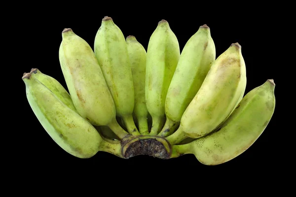 녹색 바나나 격리 검은 배경 육성 — 스톡 사진
