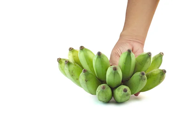 Bananas colhidas à mão em fundo branco isolado, banana verde — Fotografia de Stock