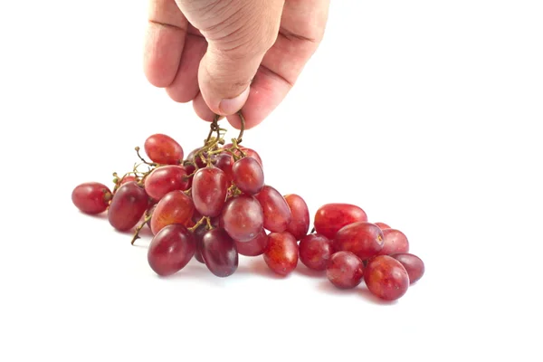 Uvas tintas y de mano sobre fondo blanco —  Fotos de Stock