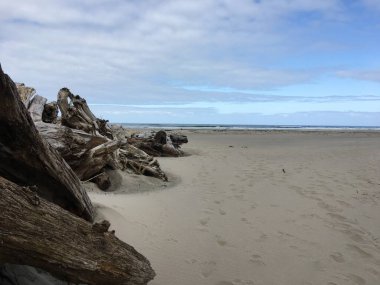 Rockaway Sahili, Oregon 'da sürükleniyor.