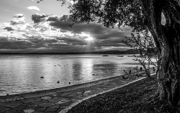 Resort Lake siyah beyaz gün batımında