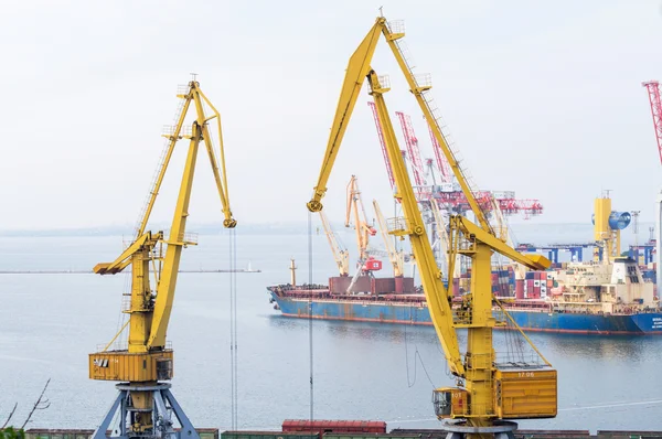 Kargo gemisi ve sanayi deniz ticaret limanda vinç