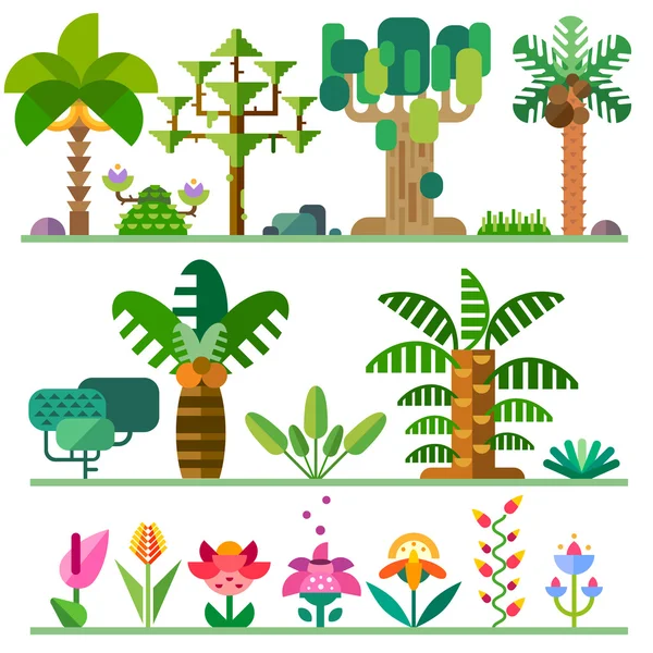 Plantas tropicales. Diferentes tipos de árboles, flores — Vector de stock