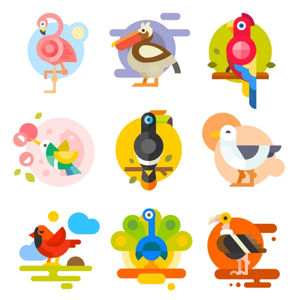Verschiedene Vögel — Stockvektor