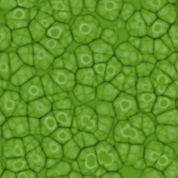 Células de plantas de patrón verde abstracto sin costuras bajo microscopio . — Foto de Stock