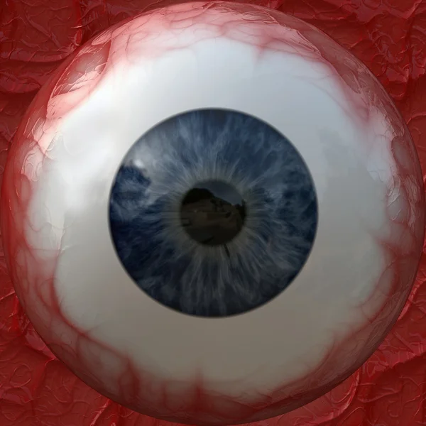 The texture of the eyeball. — 图库照片