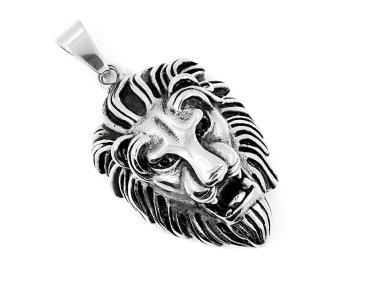 Kolye Aslanın kafasından