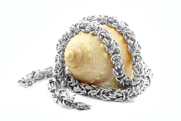 Stainless steel necklace, royal knitted necklace with shells — Stock Photo, Image