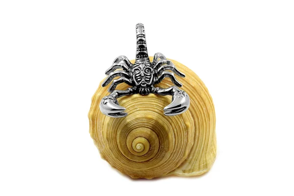 Scorpion necklace pendant. — Stock Photo, Image