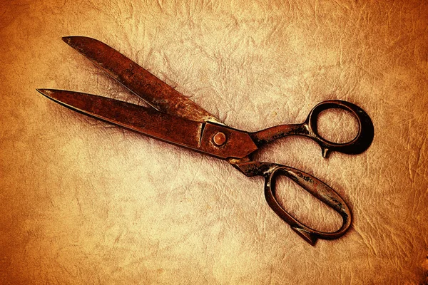 Very old tailor's scissors — Stock Photo, Image