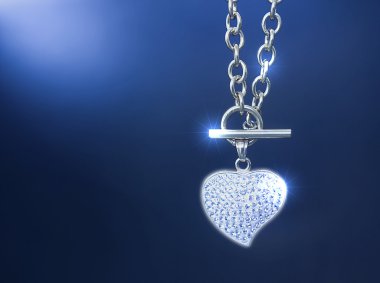 Gümüş Çelik Kolye