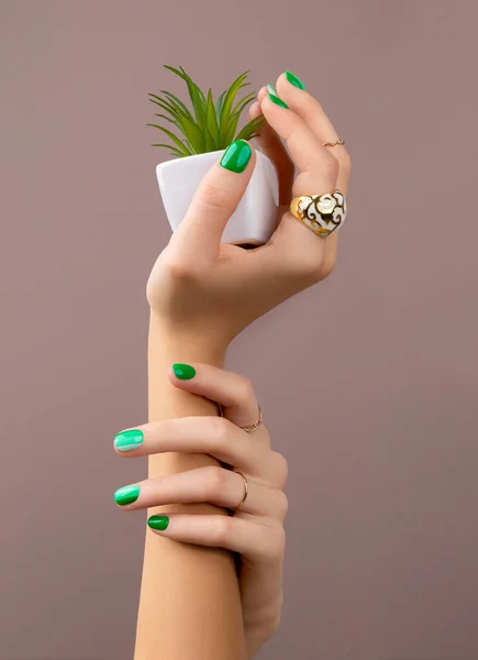 Krásné upravené ženy ruce s jaro léto nehty design na zeleném pozadí — Stock fotografie