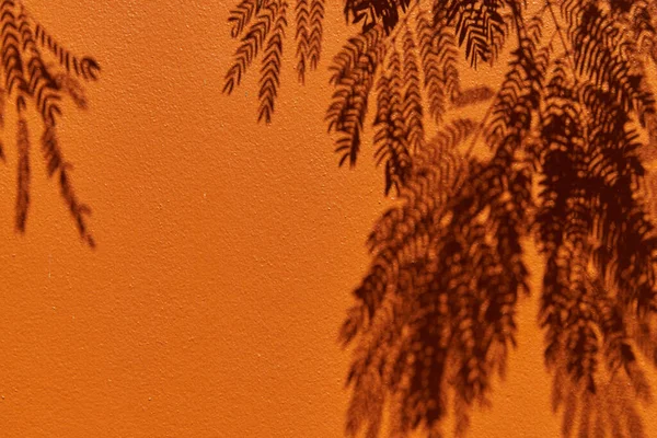 Tropical shadow on the orange wall. Minimal summer travel background — Stockfoto