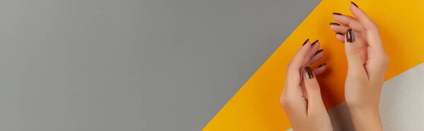 Красивые ухоженные женские руки с коричневым дизайном ногтей на креативном красочном фоне