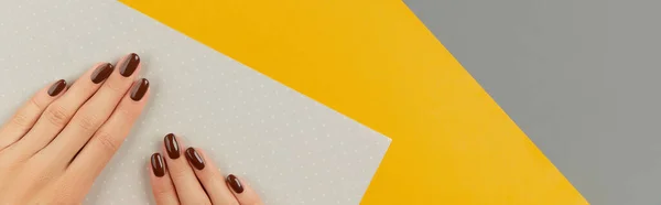 Krásné upravené ženské ruce s hnědým nehtem design na kreativním barevném pozadí — Stock fotografie