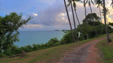 Hindistan cevizi palmiyeleri olan egzotik bir park. Günbatımında tropik manzara.