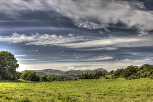Cloudscape sobre Green Pasture Field perto de Auchencairn HDR — Fotografia de Stock