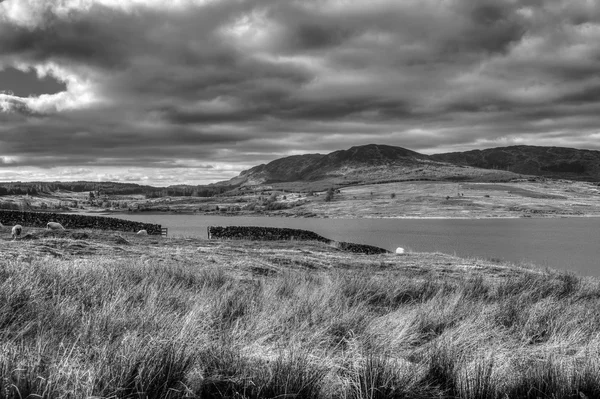 Clatteringshaws a Loch Benniguin lejtők a monokróm lövés — Stock Fotó