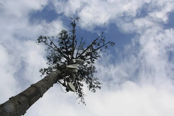A typical cell phone and communication tower masked and camouflaged as a fake large tree, under the cloudy blue sky.